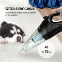 Aspirateur à Main V1 Pro -  Portable pour Nettoyage de Voiture et Maison (Noir)