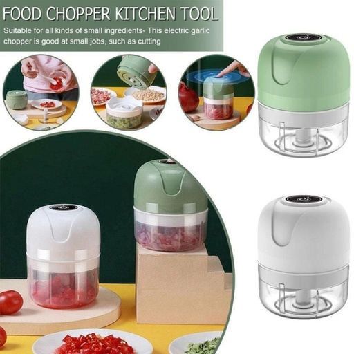 Mini Hachoir Mixeur Rechargeable Avec Câble USB 250 ML 