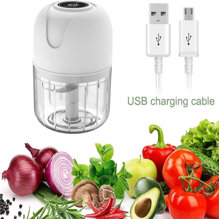Mini Hachoir Mixeur Rechargeable Avec Câble USB 250 ML 