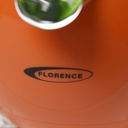 FLORENCE Presse-Agrumes Électrique 450W – 2 Cônes – Avec Bec Inox Anti-Goutte - Vert- 